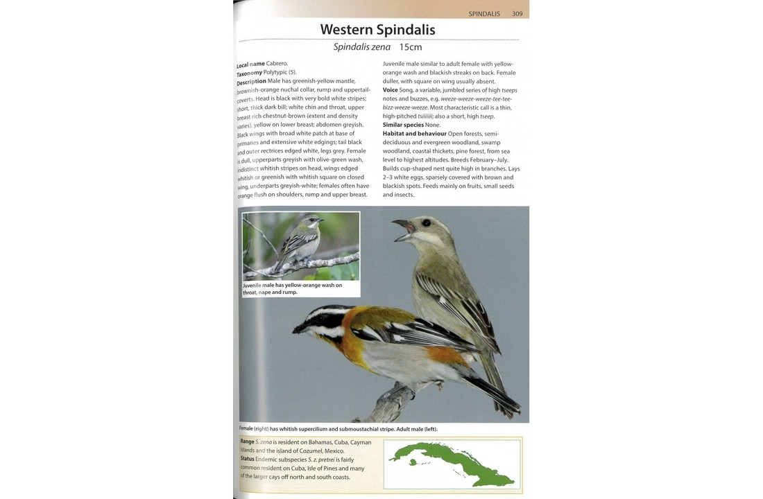 Birds of Cuba - A Photographic Guide