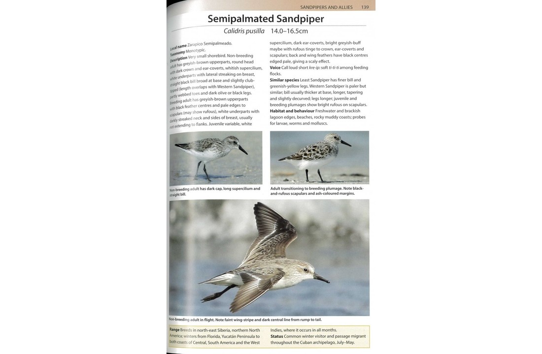 Birds of Cuba - A Photographic Guide