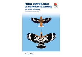 Flight Identification of European Passerines and Select Landbirds