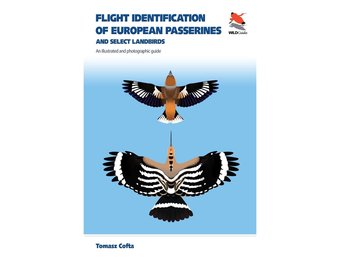 Flight Identification of European Passerines and Select Landbirds