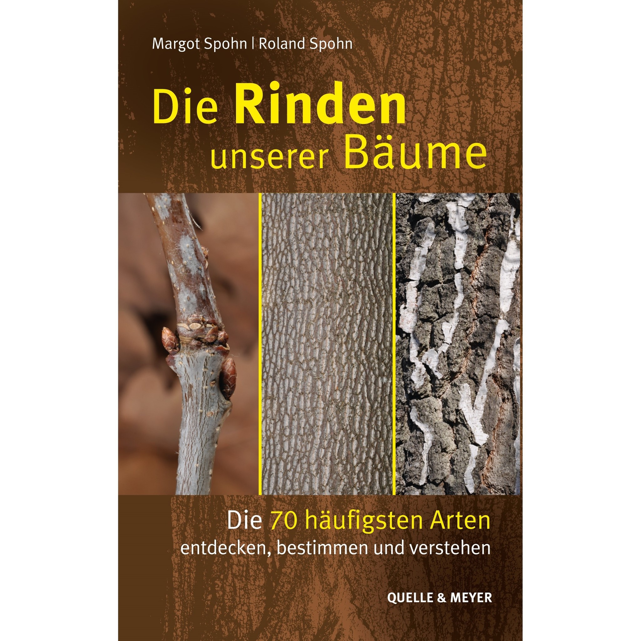 Die Rinden unserer Bäume