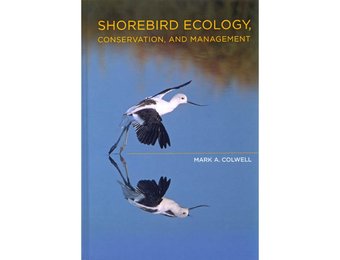 Shorebird Ecology, Conservation, and Management