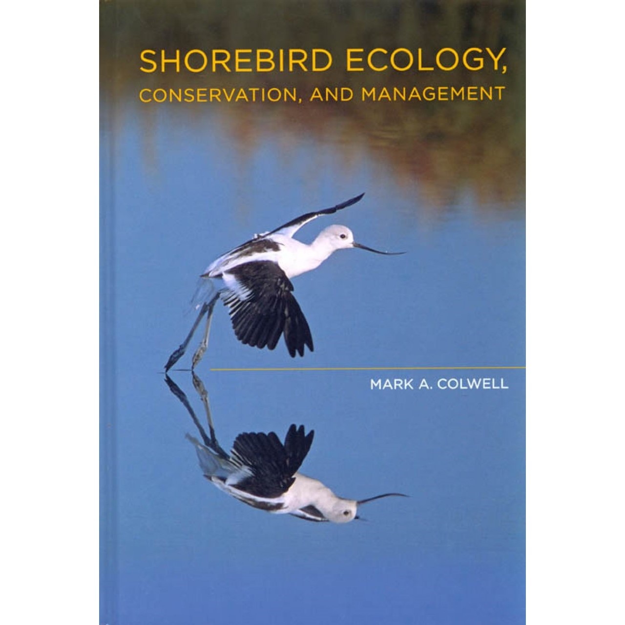 Shorebird Ecology, Conservation, and Management