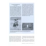 Shorebird Ecology, Conservation, and Management