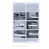 Shorebird Ecology, Conservation, and Management