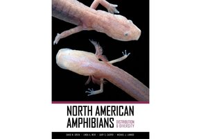 North American Amphibians