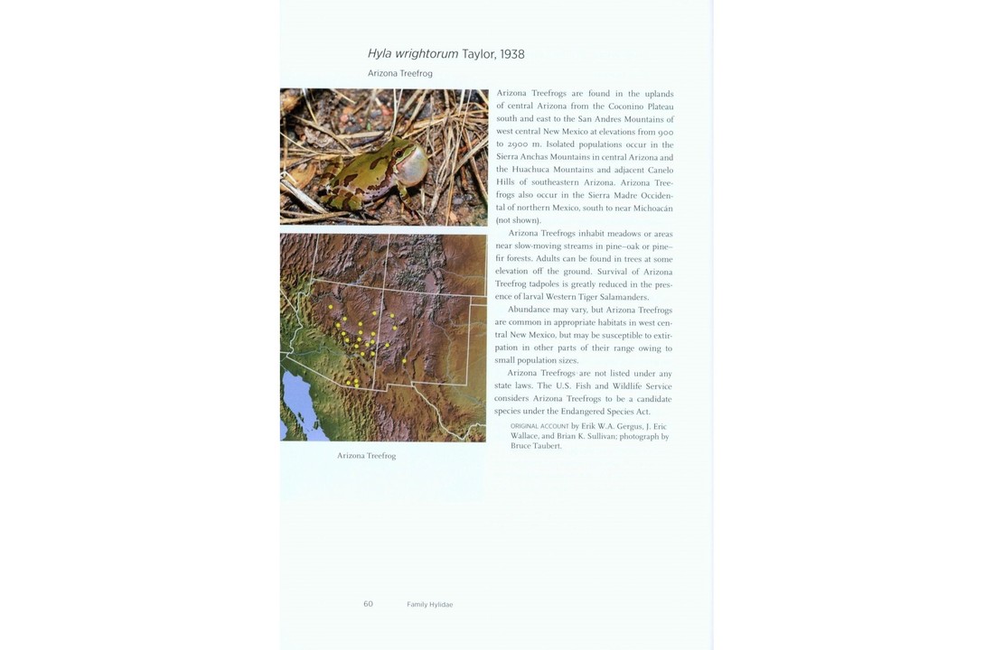 North American Amphibians - Distribution & Diversity
