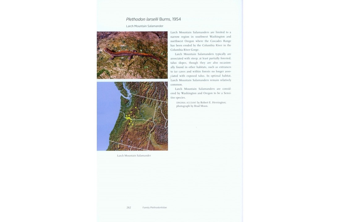 North American Amphibians - Distribution & Diversity