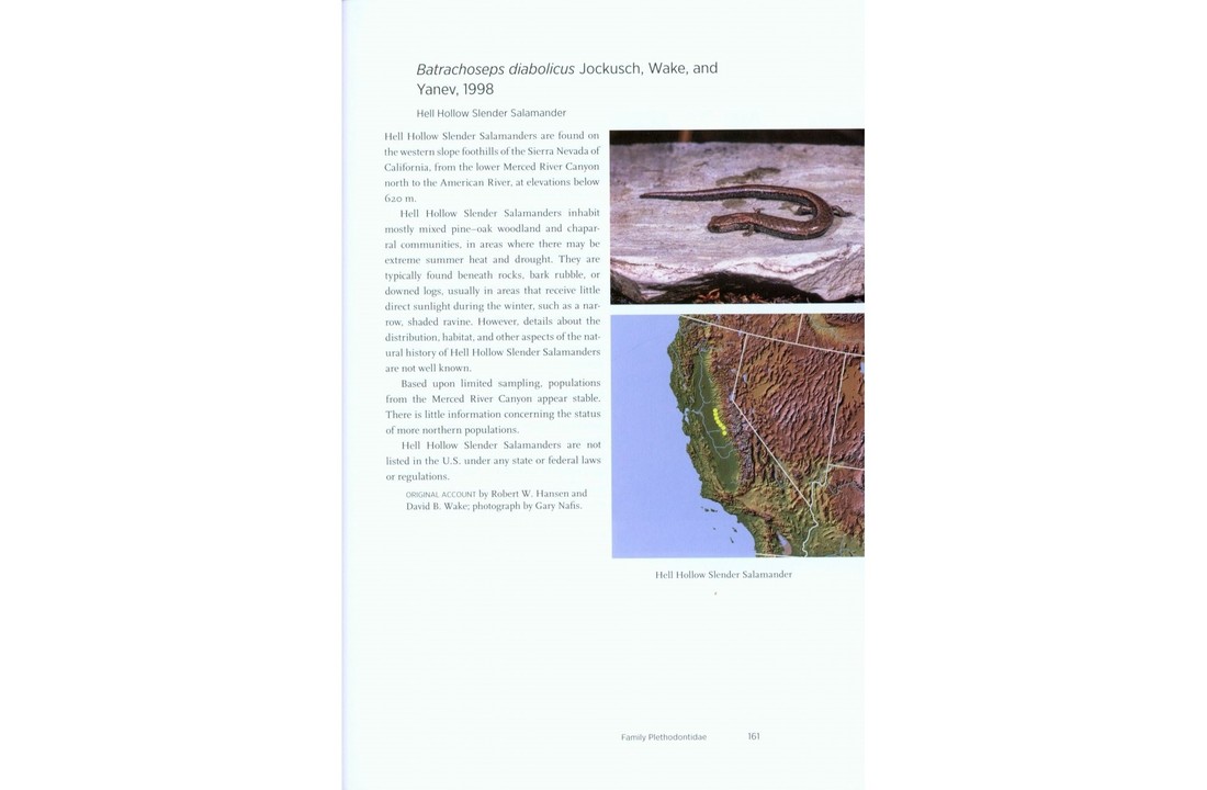 North American Amphibians - Distribution & Diversity