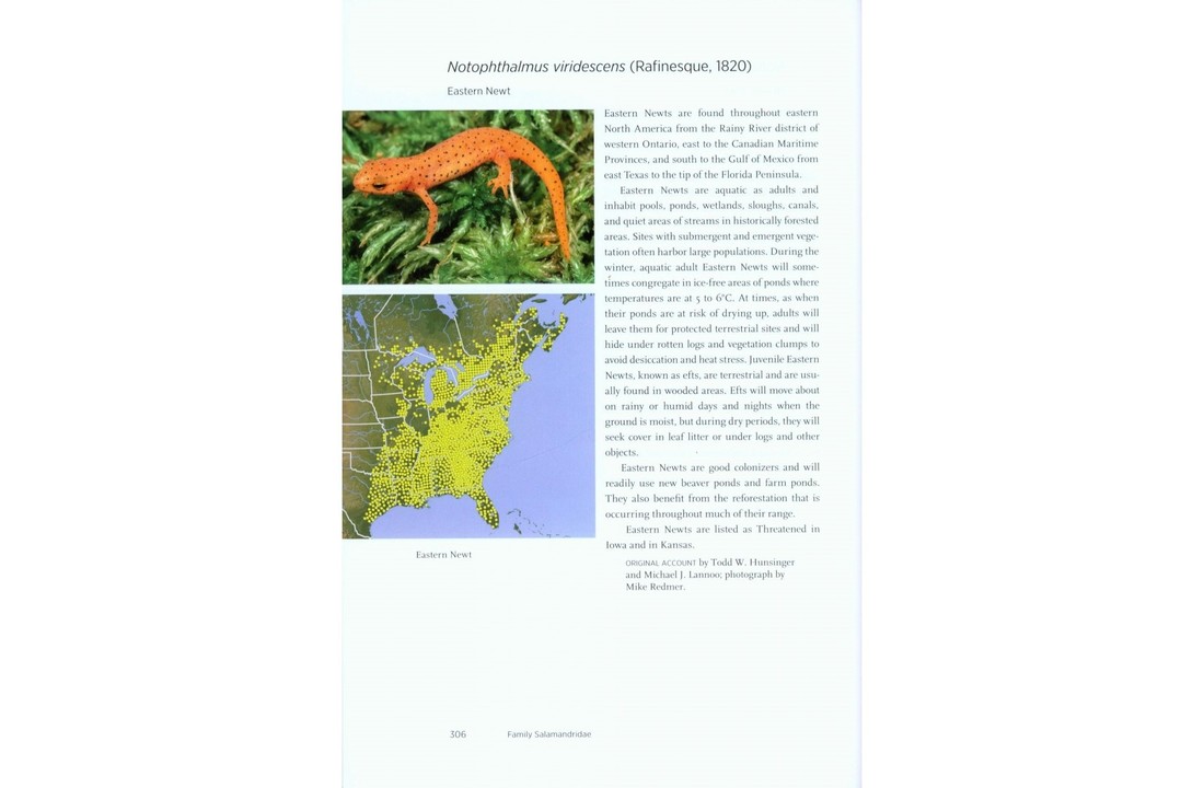 North American Amphibians - Distribution & Diversity