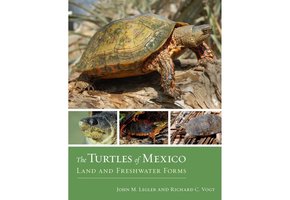The Turtles of Mexico