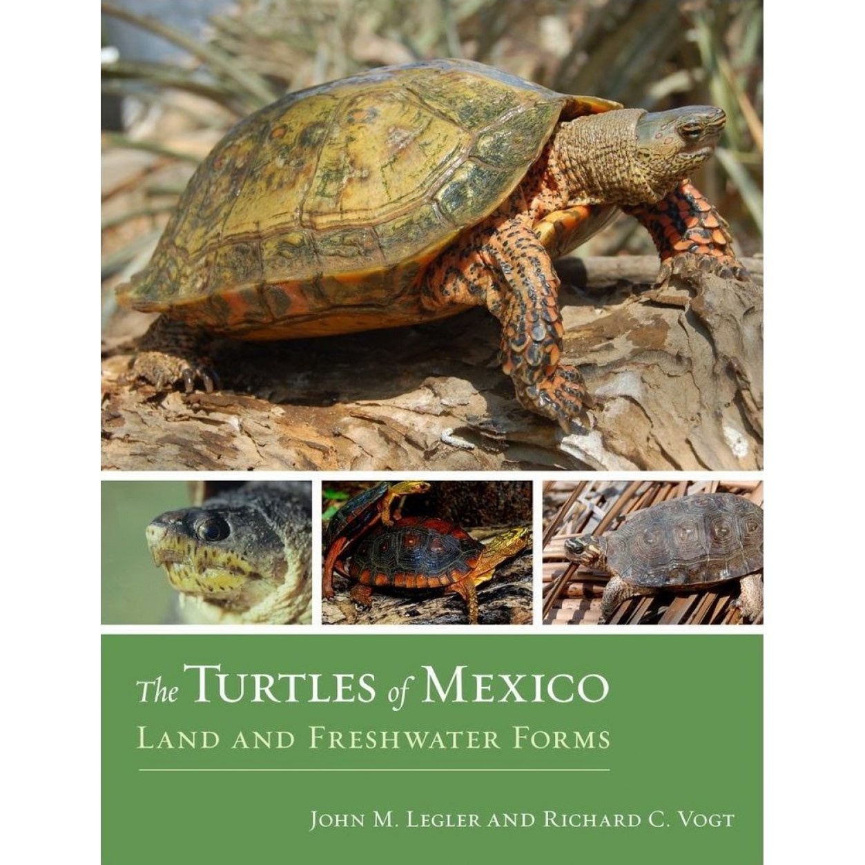 The Turtles of Mexico - Land and Freshwater Forms