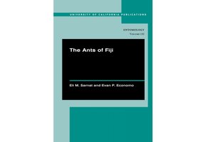 The Ants of Fiji
