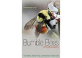Bumble Bees of North America