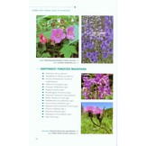 Bumble Bees of North America - An Identification Guide