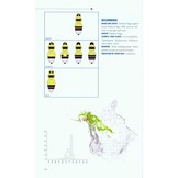 Bumble Bees of North America - An Identification Guide