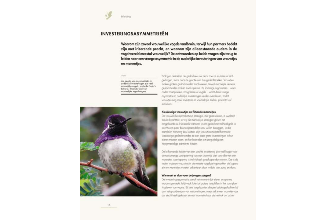 Vogelliefde - Van Lokroep en Hofmakerij tot Broeden en Kuikenzorg