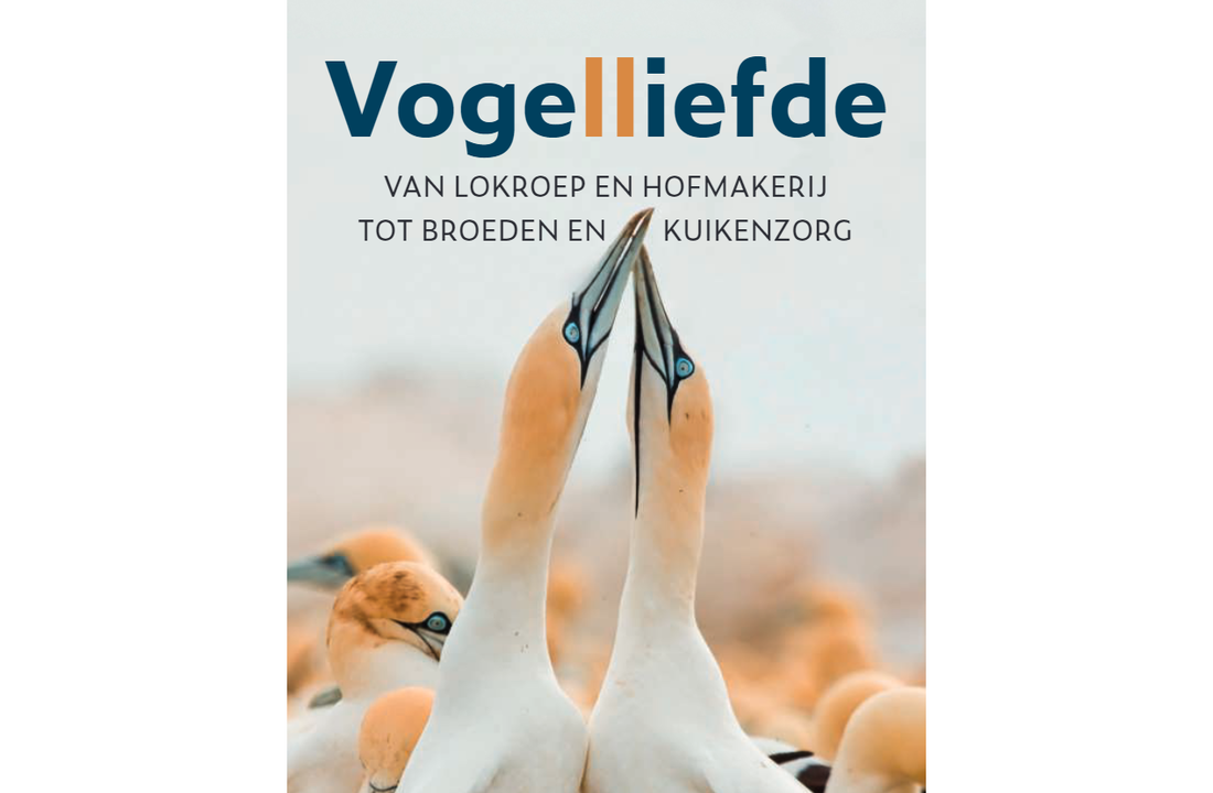 Vogelliefde - Van Lokroep en Hofmakerij tot Broeden en Kuikenzorg