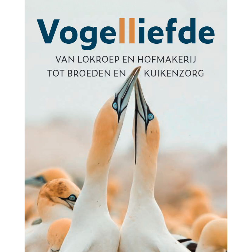 Vogelliefde - Van Lokroep en Hofmakerij tot Broeden en Kuikenzorg