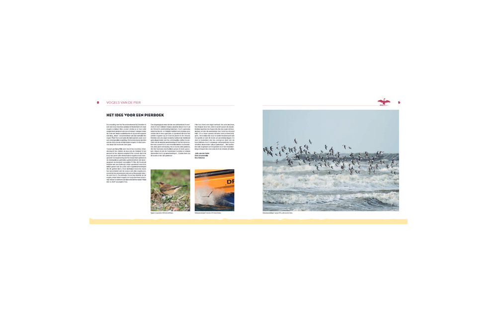 Vogels van de Pier