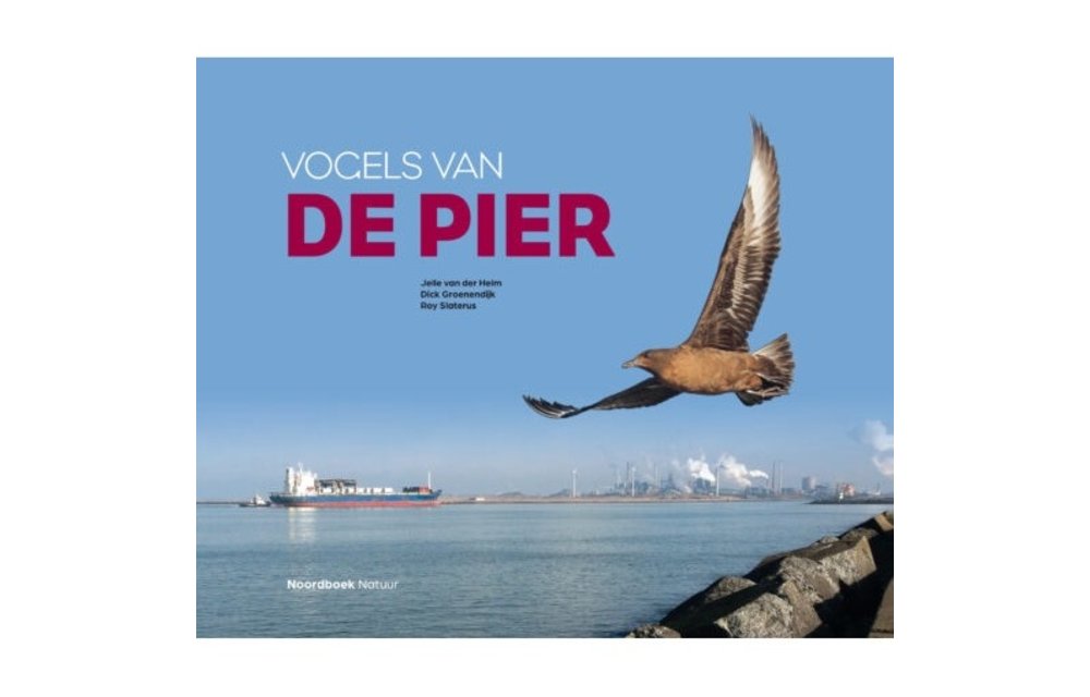 Vogels van de Pier