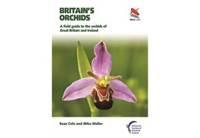 Britain's Orchids