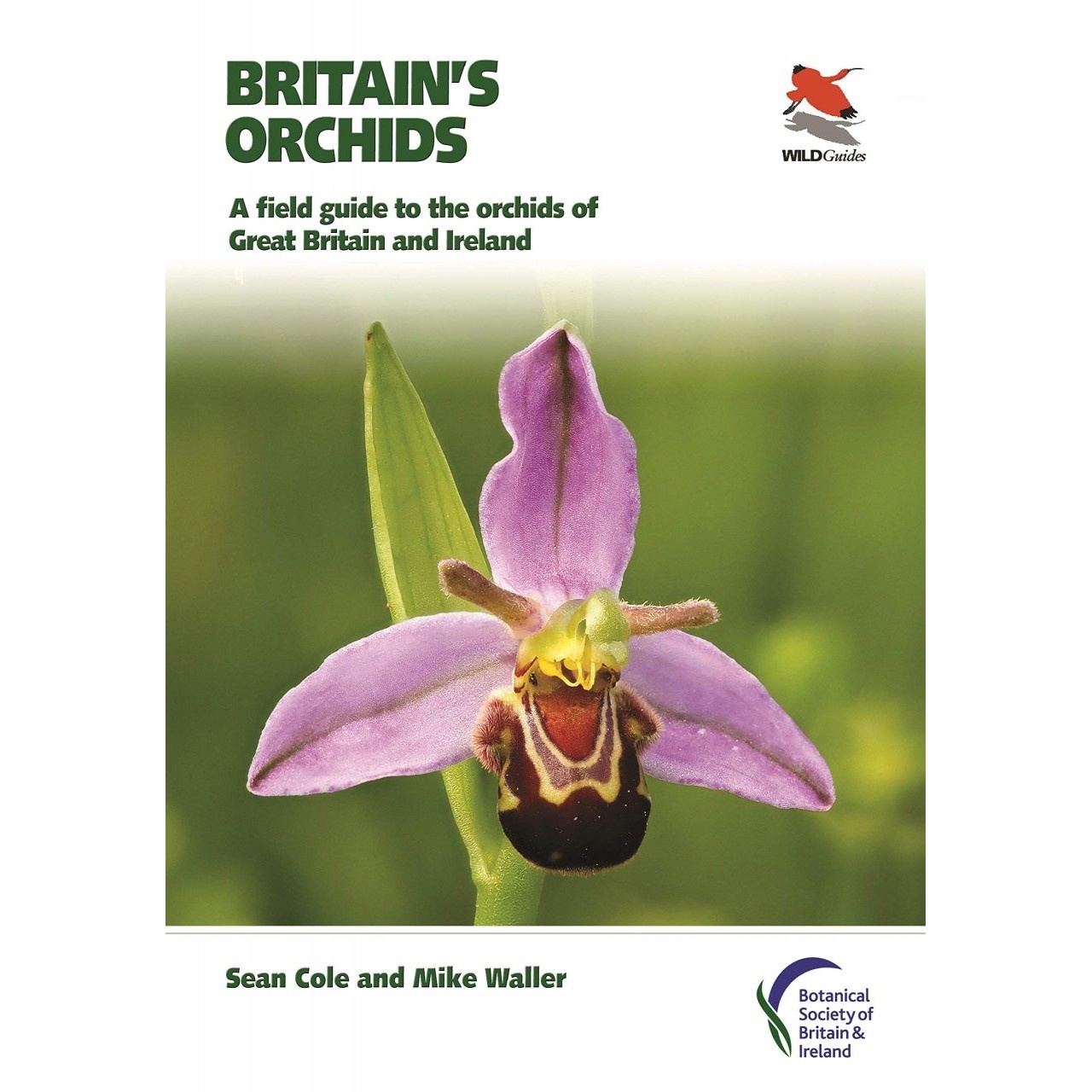 Britain's Orchids - A Field Guide to the Orchids of Great Britain and Ireland