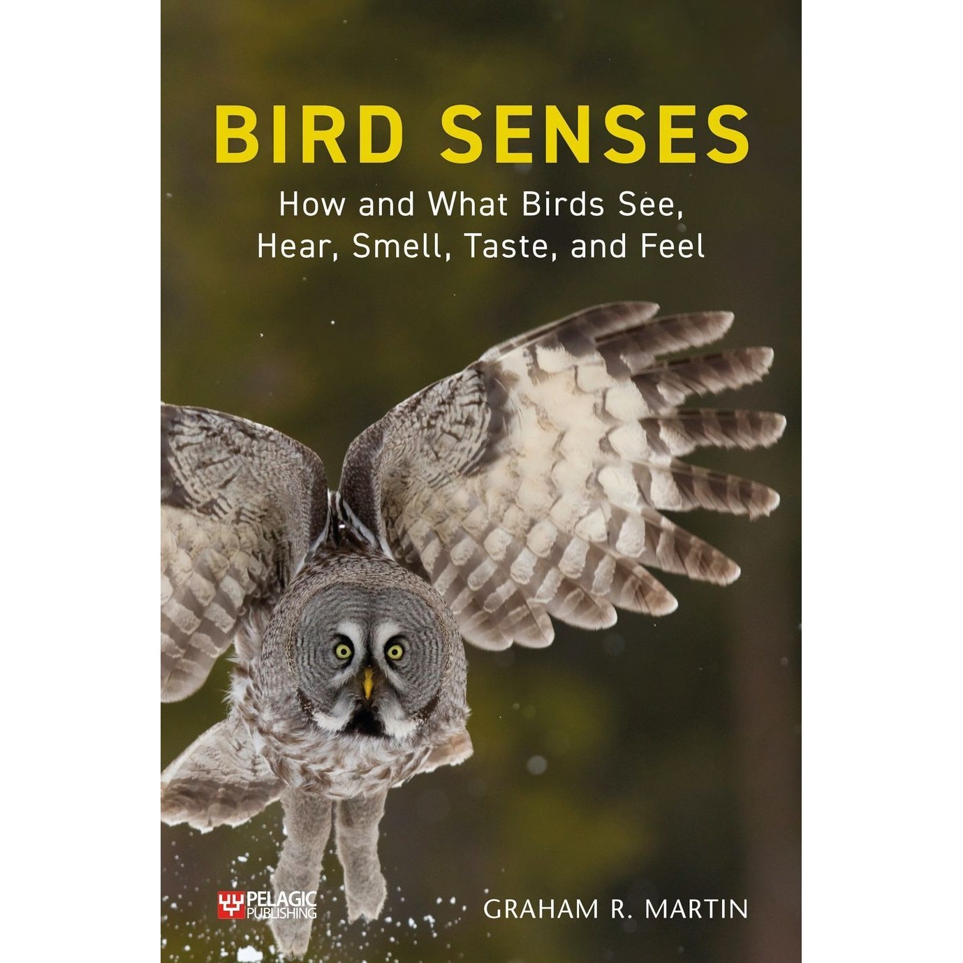 Bird Senses - How and What Birds See, Hear, Smell, Taste and Feel