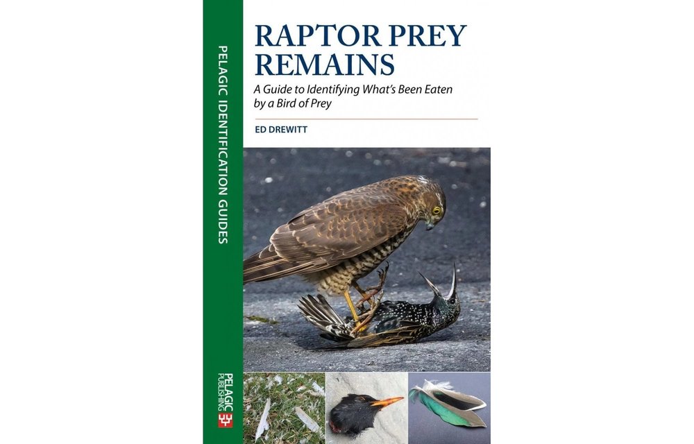 Raptor Prey Remains - A Guide to Identifying What's Been Eating by a Bird of Prey