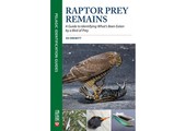 Raptor Prey Remains