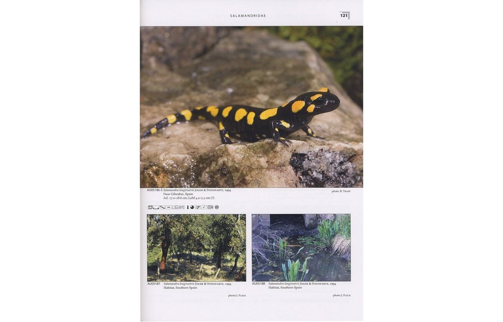 Terralog 21: Salamanders and Newts of Europe, North Africa and Western Asia/Salamander und Molche Europas, Nordafrikas und Westasiens