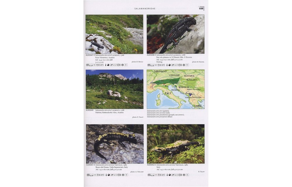 Terralog 21: Salamanders and Newts of Europe, North Africa and Western Asia/Salamander und Molche Europas, Nordafrikas und Westasiens