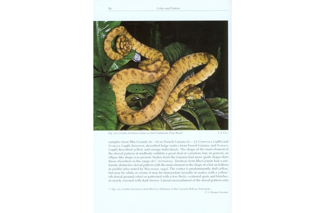 Natural History of Neotropical Treeboas - (Genus Corallus)