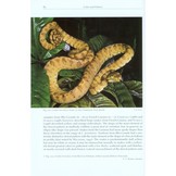 Natural History of Neotropical Treeboas - (Genus Corallus)