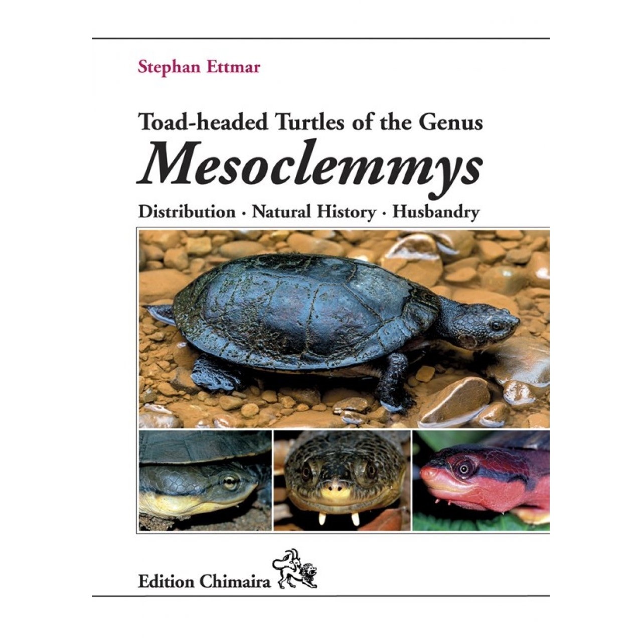 Toad-Headed Turtles of the Genus Mesoclemmys - Distribution - Natural History - Husbandry