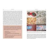 Toad-Headed Turtles of the Genus Mesoclemmys - Distribution - Natural History - Husbandry