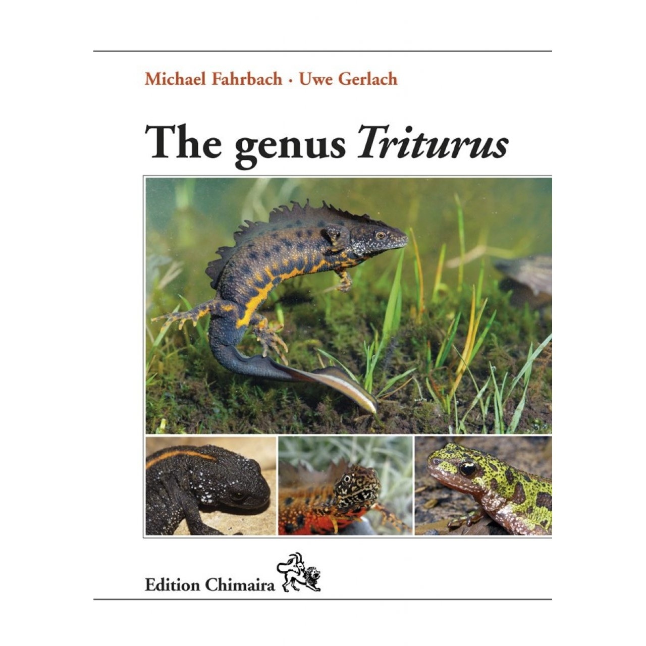 The Genus Triturus