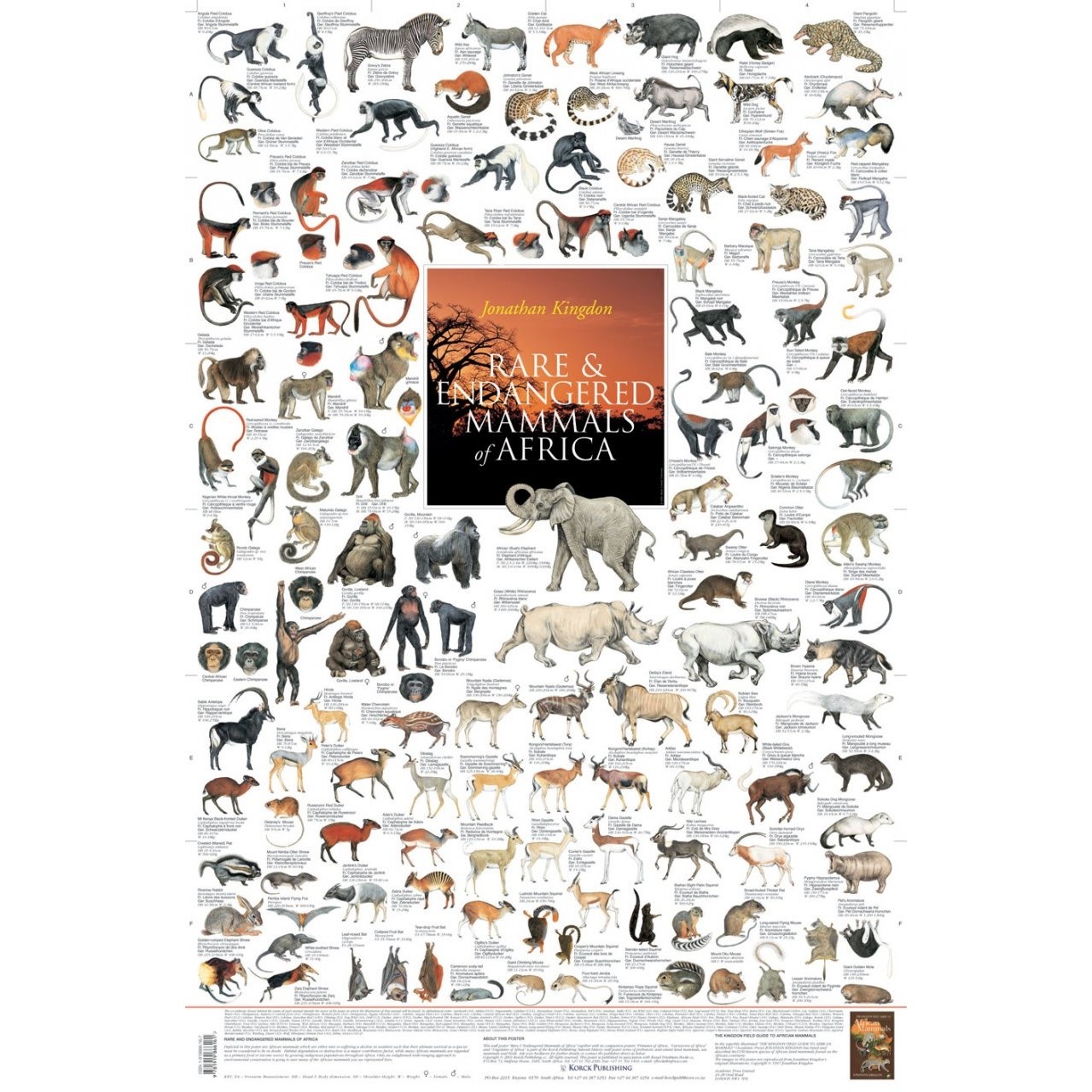 Rare and Endangered Mammals of Africa Poster