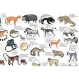 Zeldzame en Bedreigde Zoogdieren van Afrika Poster