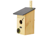 Starling nest box