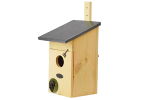 Starling nest box