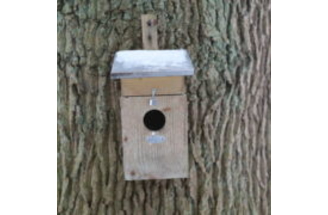 Houten nestkast spreeuw
