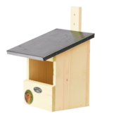 Wooden nest box robin