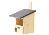 Nest box robin
