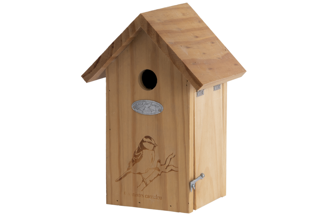Blue tit nest box silhouette