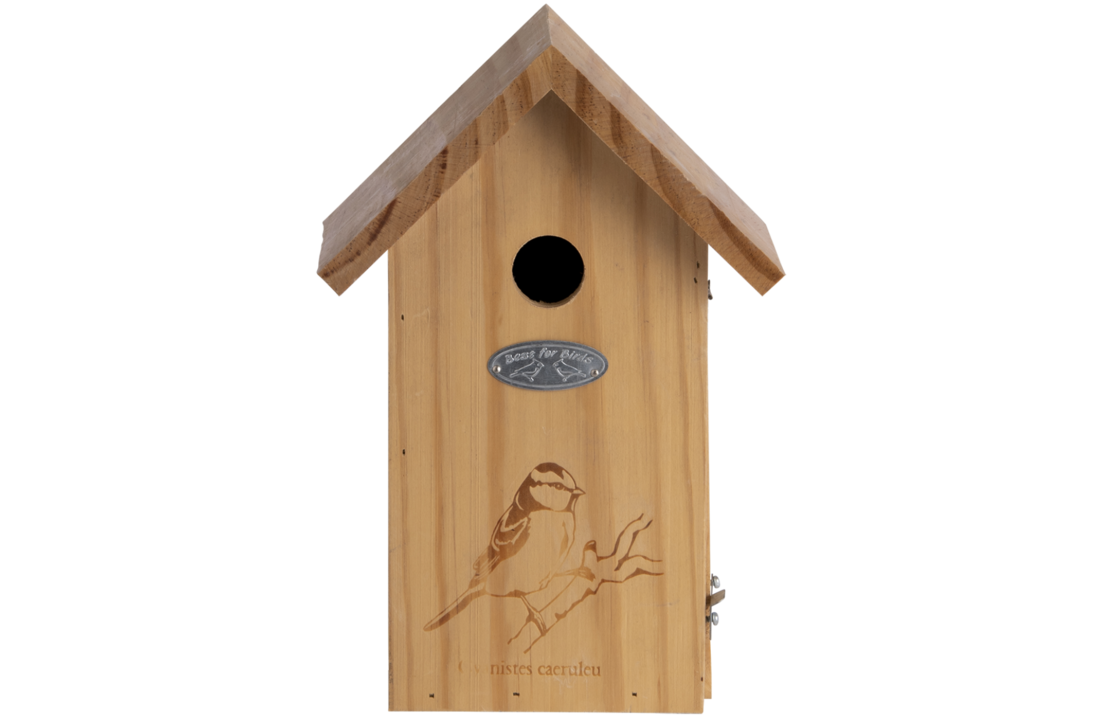 Blue tit nest box silhouette