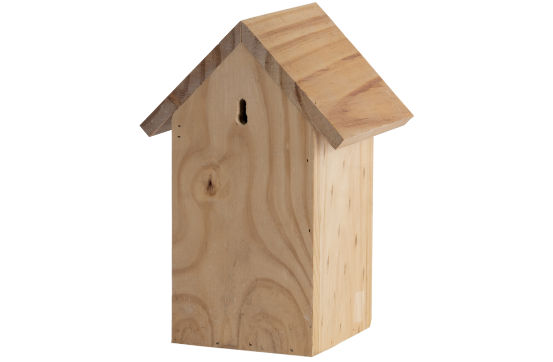 Blue tit nest box silhouette
