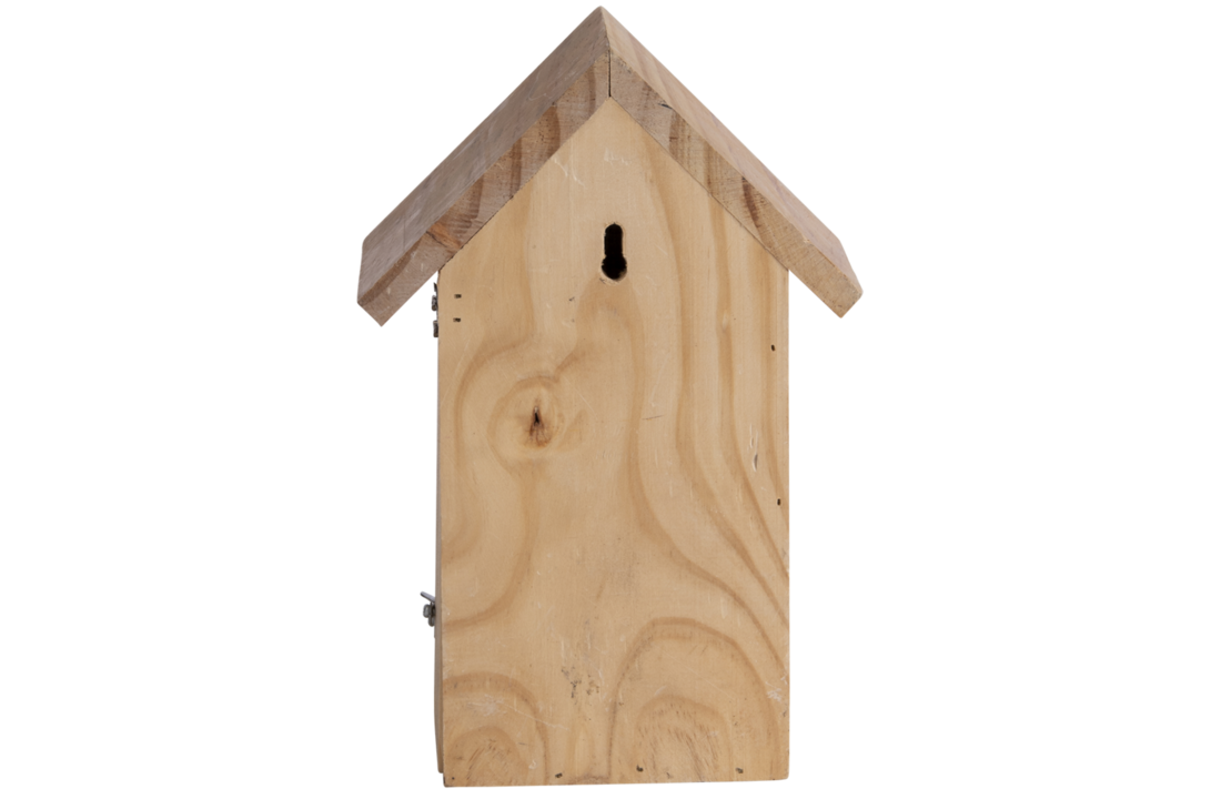 Blue tit nest box silhouette