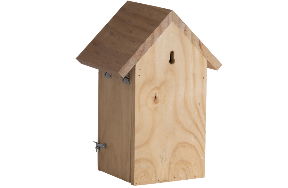 Blue tit nest box silhouette