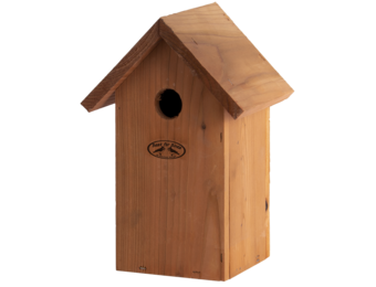 Blue tit douglas nest box wood